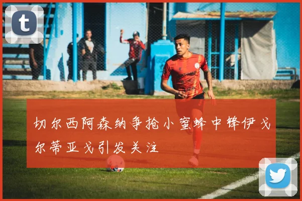切尔西阿森纳争抢小蜜蜂中锋伊戈尔蒂亚戈引发关注